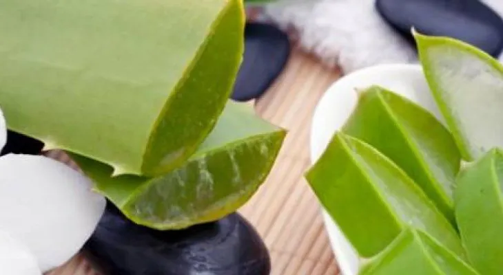 Remedios caseros con aloe vera que debes conocer