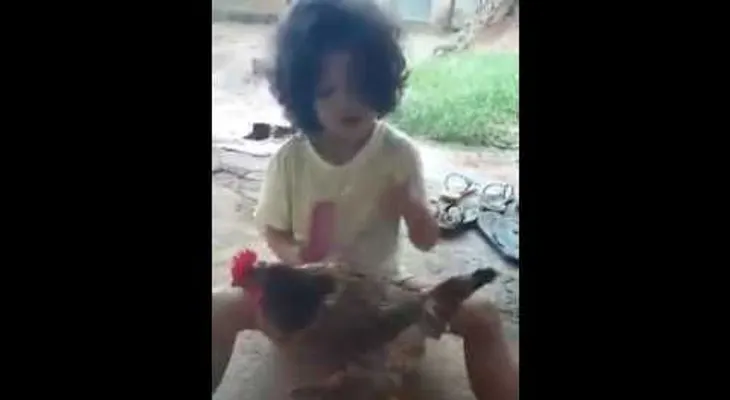 Una niña peina a su gallina y enloquece las redes (VIDEO)