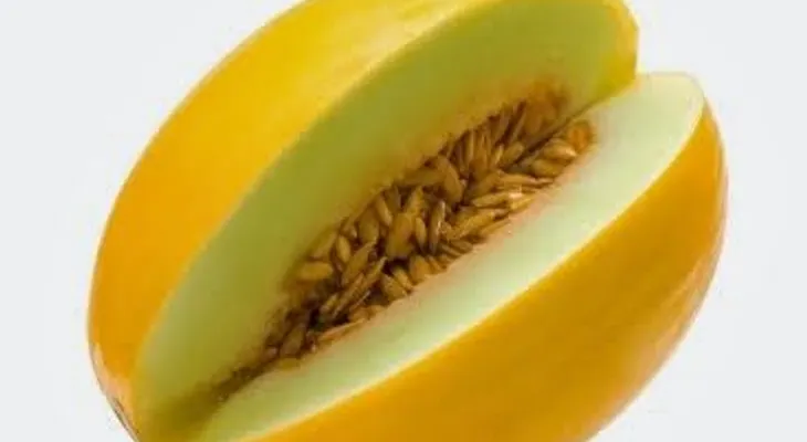 Lo que aporta el melón a tu salud