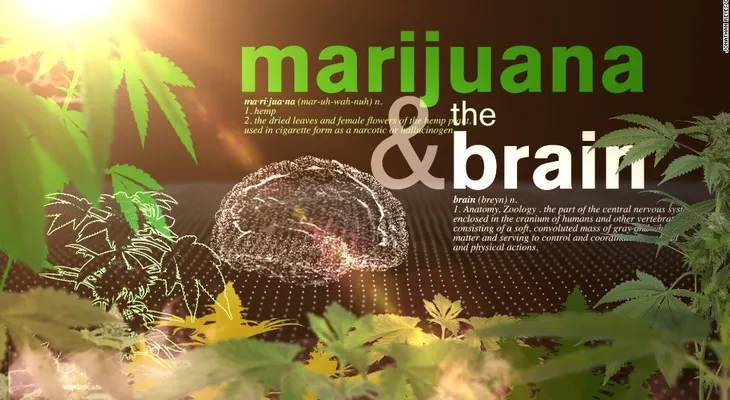 Marihuana legal: un experimento a escala global