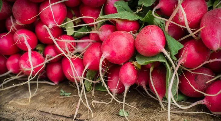 12 razones de salud para comer rábano todos los días