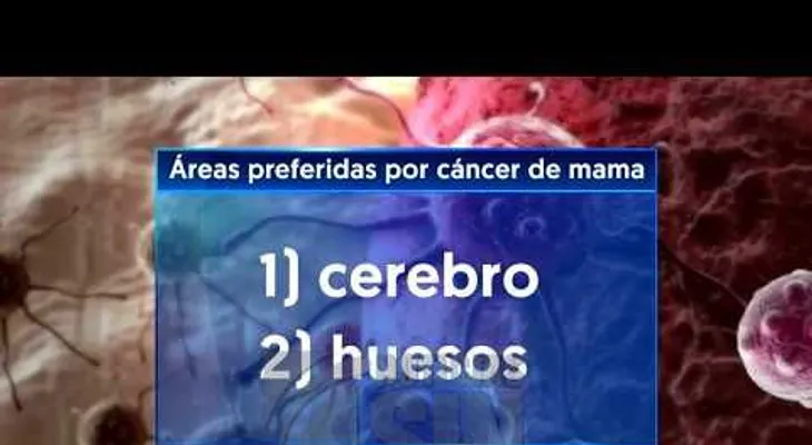  Estudios buscan detener migración de cáncer a otros órganos 