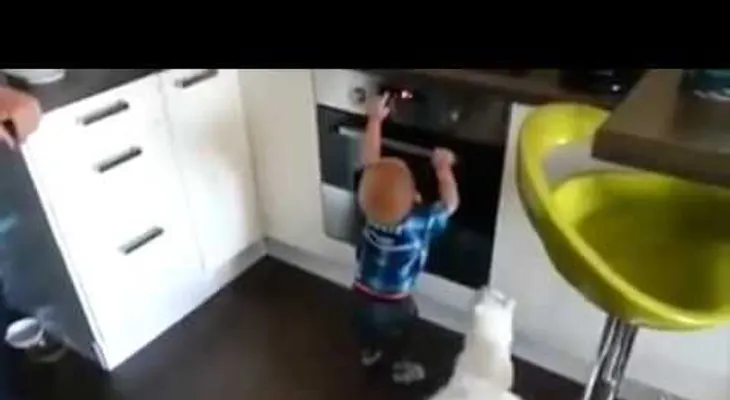Video: Gato protege a bebé de un horno caliente