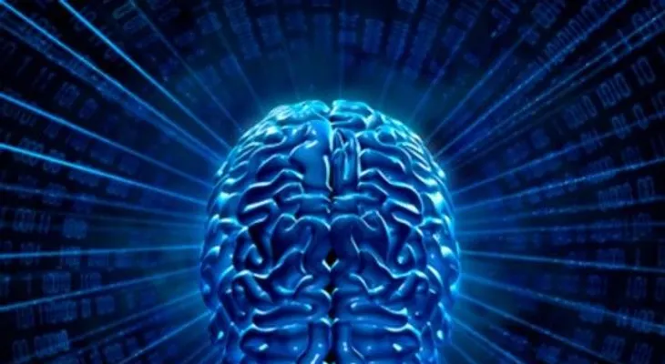 La hipotermia protege el cerebro