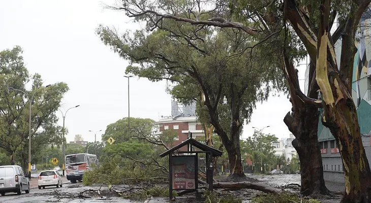 Temporal con fuertes ráfagas de viento azota Montevideo