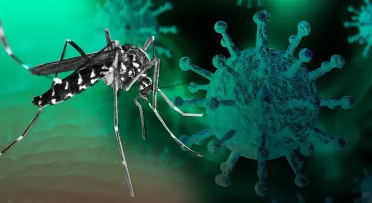 El coronadengue comienza a preocupar; cuáles son sus síntomas?