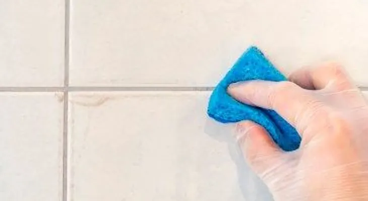 Chau hongos: elimínalos de tus azulejos para siempre