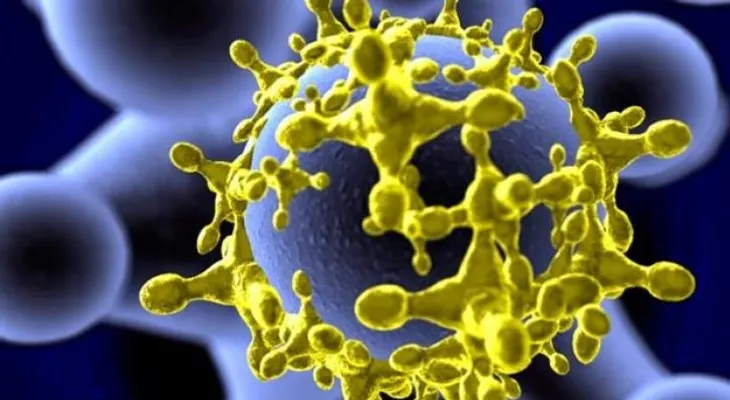 Activan dispositivo preventivo para diagnóstico de virus zika