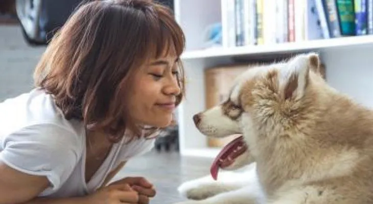 Cómo le debes hablar a los perros ¡Descúbrelo!