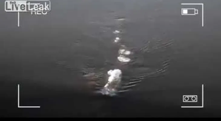 Graban un extraño ser nadando en Lago Ness de Alaska