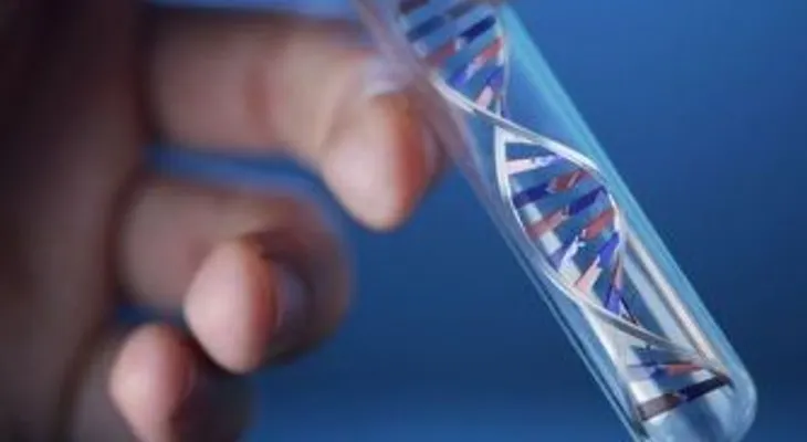 La reparación del ADN es una clave para la lucha contra el cáncer 
