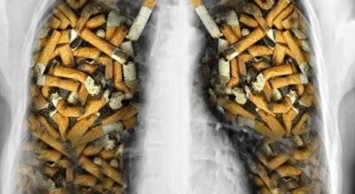 Cómo eliminar la nicotina del cuerpo naturalmente