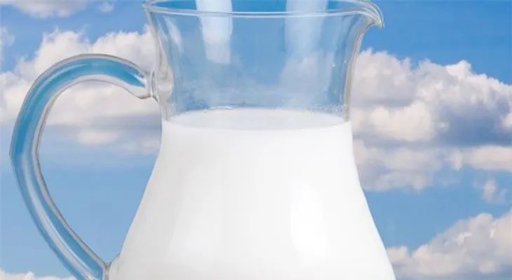 Lo que no sabías de la leche de avena 