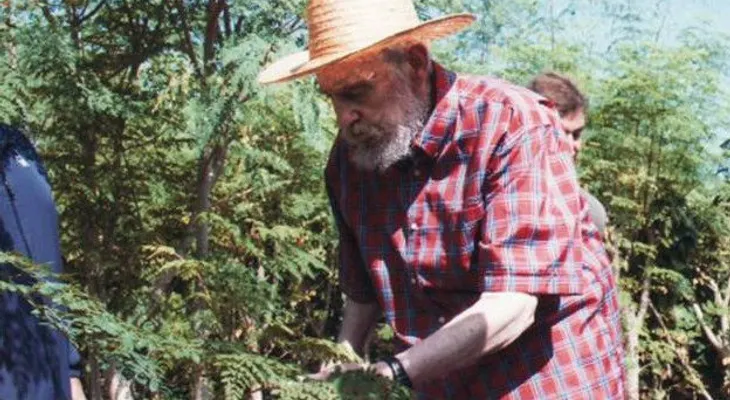 Fidel Castro y su secreto para vivir por tantos años; en el 2006 esta planta lo libró de la muerte 