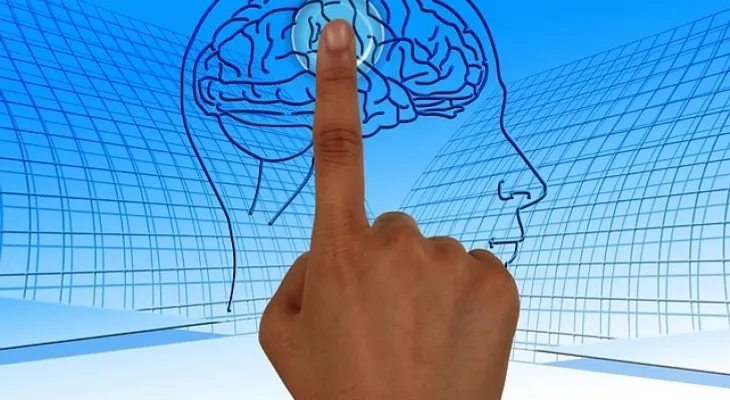 El reloj de nuestro cerebro se atrasa dos semanas al año