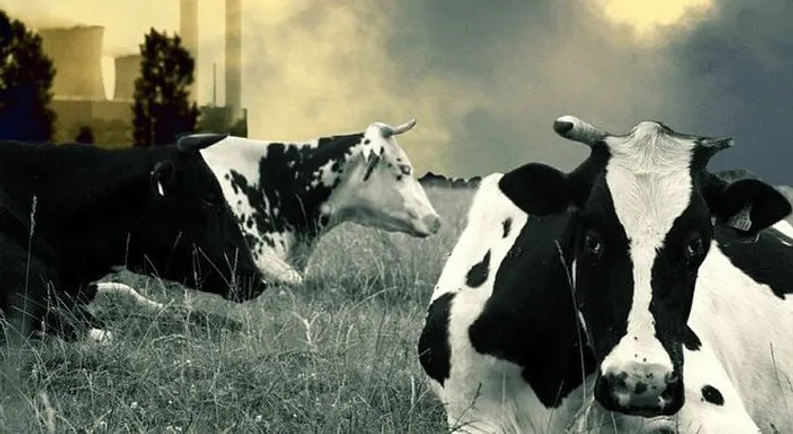 Comer menos carne reduce el cambio climático