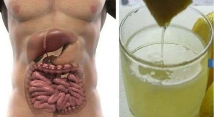 Con 3 días de desintoxicación elimina el exceso de agua, grasa y toxinas del hígado y pulmón y además limpia las arterias!