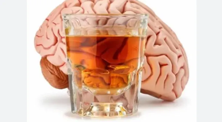 El alcohol, un cruel destructor de la memoria