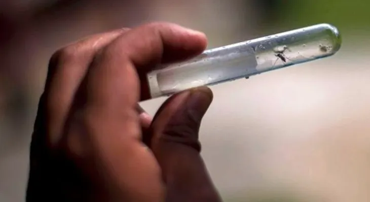 Mueren otras tres por dengue; suman 18 víctimas en primer trimestre 2016