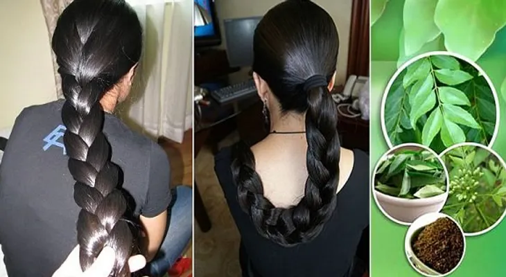 Estas hojas no solo hacen crecer su cabello, tambien evitan que tu pelo se caiga y lo reparan