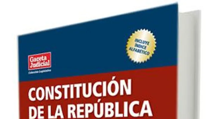 La Constitución es bastante clara: Danilo no puede aspirar en el 2020; Leonel no lo apoyará 
