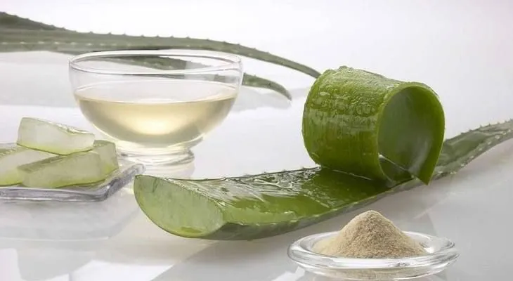 El milagro de la planta que trata la psoriasis, el eczema, la dermatitis y otras alergias en la piel!