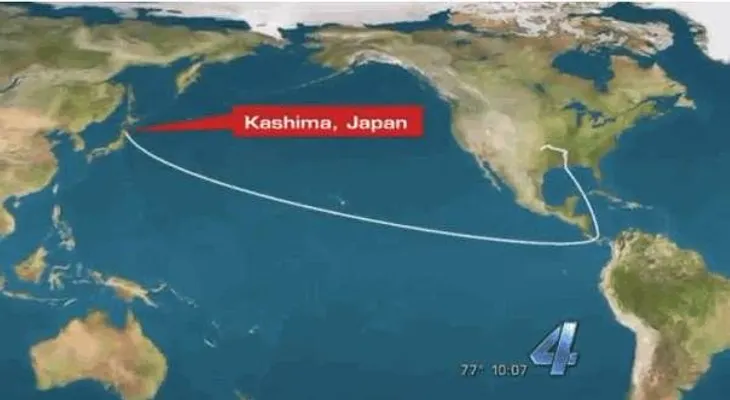 Se le perdió el celular en un contenedor de granos: ¡nueve meses después apareció en Japón!
