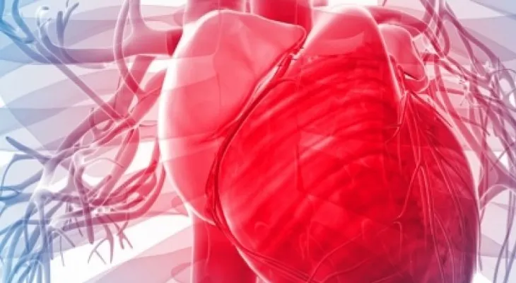 Claves para mejorar la salud cardiovascular 