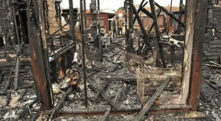 Mueren 41 perros en incendio en Las Vegas 