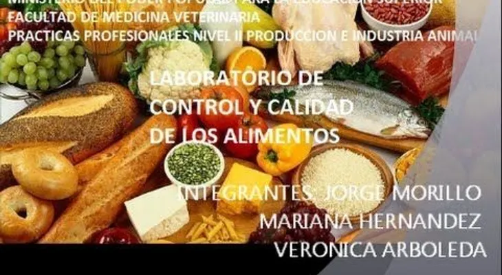 La dieta vegetariana previene el riesgo cardio y cerebrovascular