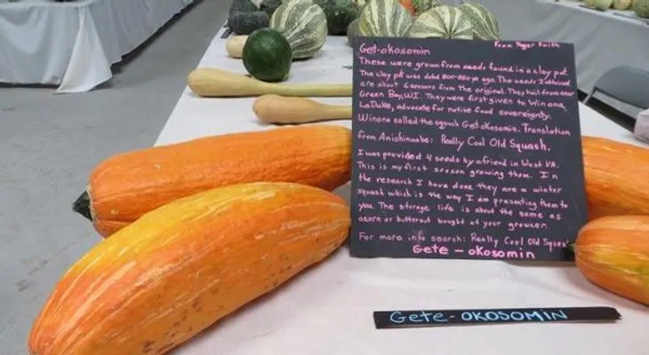 Logran cultivar un alimento de 800 años de antigüedad y el resultado es sorprendente