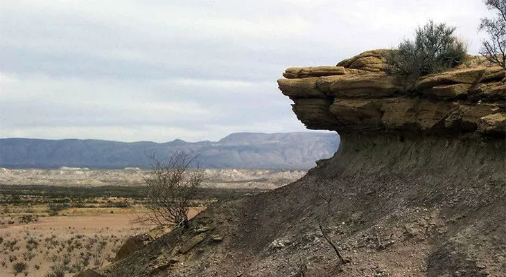 Un estadounidense deja a su nieta de 5 años sola y con un arma en un desierto