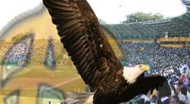 Revelan auditoría en equipo de las Aguilas ha generado crisis 