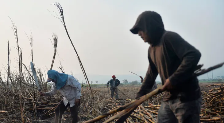 El desempleo en México cae a su nivel más bajo desde 2014