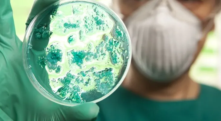 Alerta científica: un nuevo virus mortal amenaza al mundo