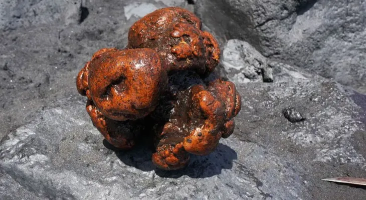 El ámbar gris, el 'vómito de la ballena' que puede valer hasta 30 dólares el gramo