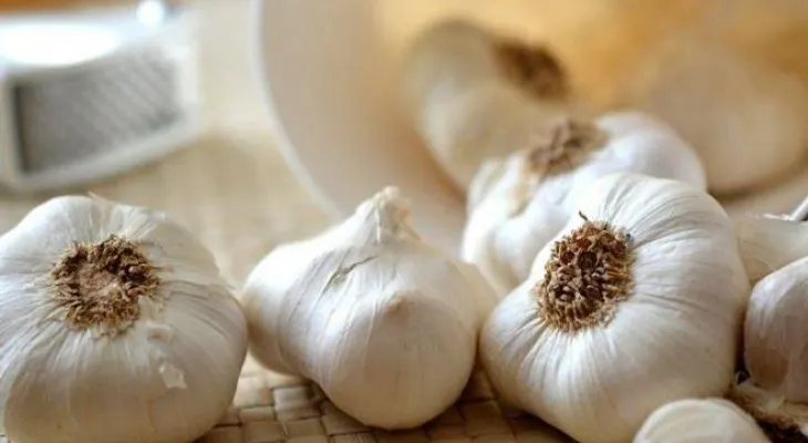 9 propiedades saludables de consumir ajo