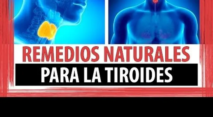 Esta es la única solución para curar la tiroides, y los médicos nunca te lo dirán