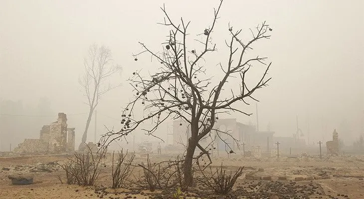 200 millones de estadounidenses sufrirán graves problemas mentales por el cambio climático