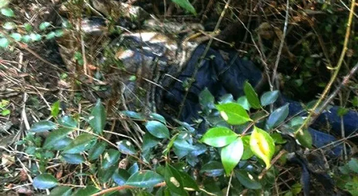 Encuentran cadáver sin brazos y sin piernas en unos matorrales de Bávaro