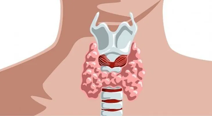 Cuatro nutrientes esenciales para la función tiroidea