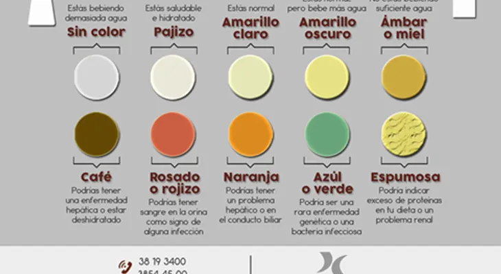 Utilizando su orina como guía de auto-hidratación