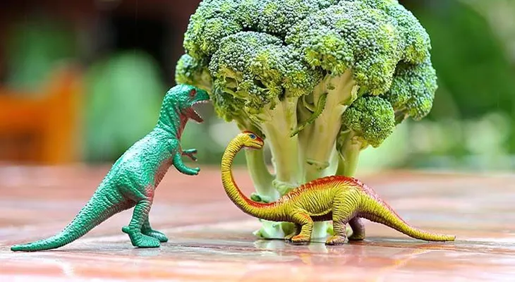 7 recetas con brócoli amigables para niños 