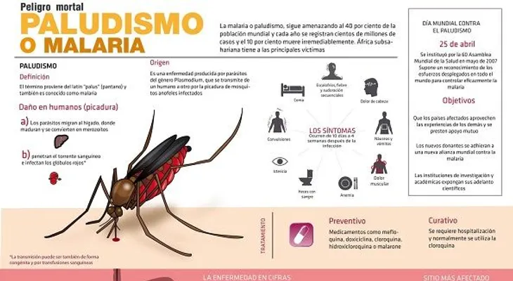 La malaria: síntomas, prevención y tratamiento