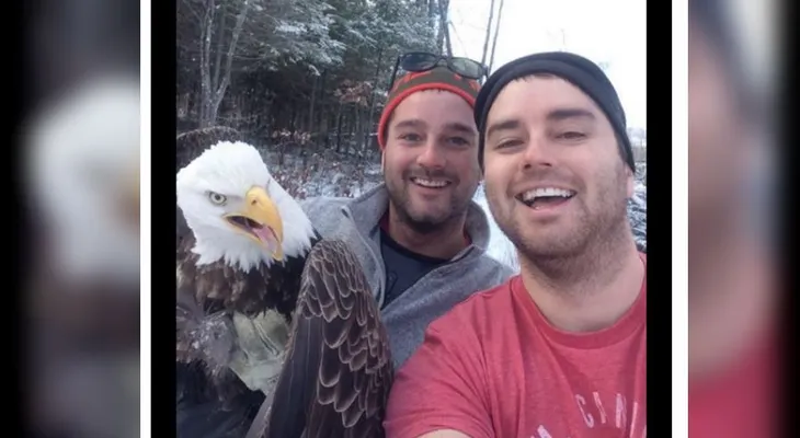 Rescatan a un águila calva y la foto se vuelve viral