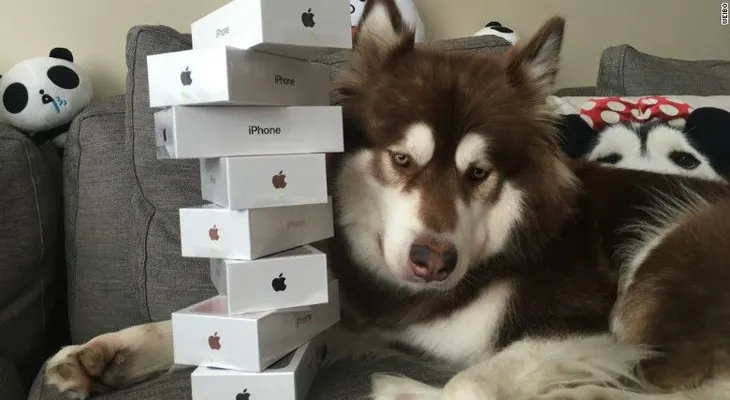 Hijo del hombre más rico de China le compra ocho iPhone 7 a su perro