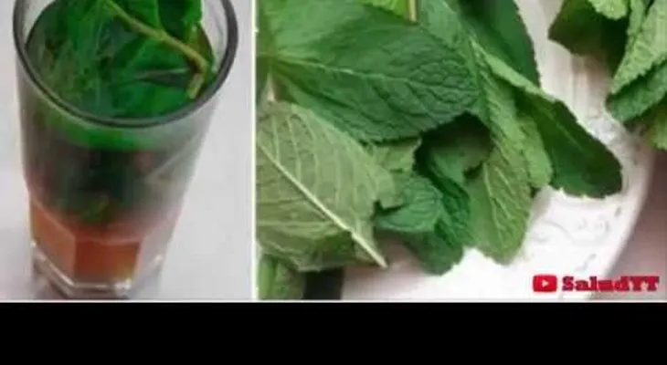 Conoce los grandes beneficios para la salud de la hierbabuena (VIDEO)