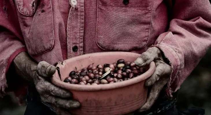 5 hábitos que debes dejar ahora mismo si no quieres estar postrado en la vejez