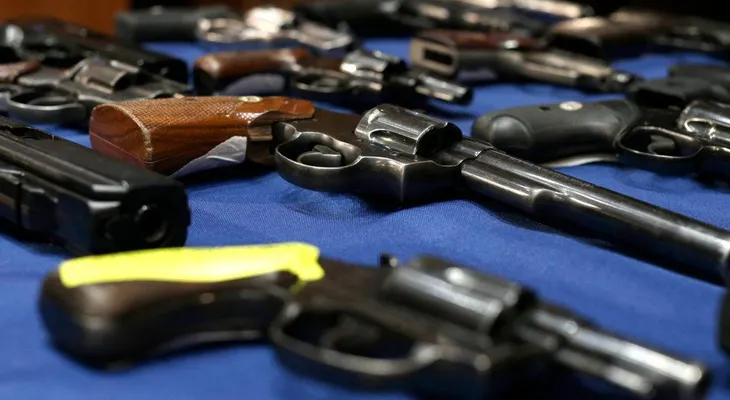 Ramón Fadul: Comisión elabora protocolo de aplicación ley de armas