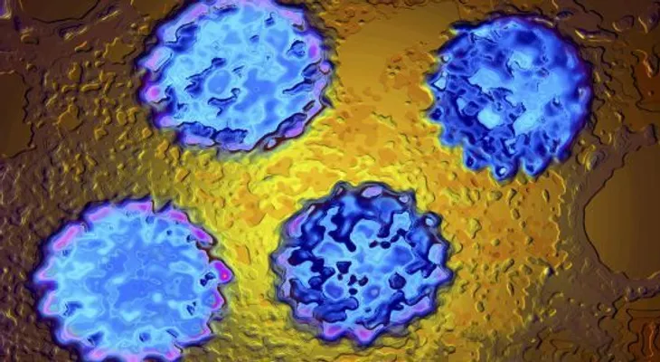 Cáncer y sexo oral, ¿riesgo real o temor infundado?